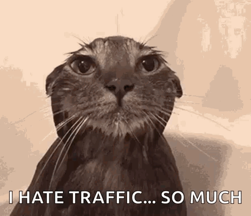 A Cat With Its Ears Folded And The Words `` I Hate Traffic ... So Much '' Written On Its Face . GIF