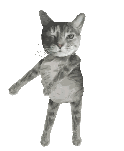 a cat with its eyes closed and its paws up