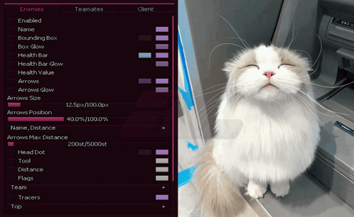 A Cat With Its Eyes Closed Next To A Computer Screen That Says " Enemies " GIF