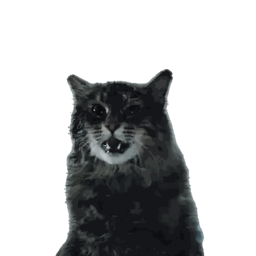a cat with its mouth open and its tongue hanging out