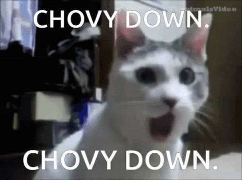 A Cat With Its Mouth Open And The Words " Chovy Down " Written On It GIF