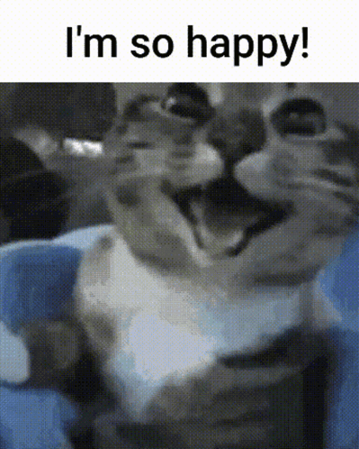 A Cat With Its Mouth Open And The Words " I 'M So Happy " Above It GIF