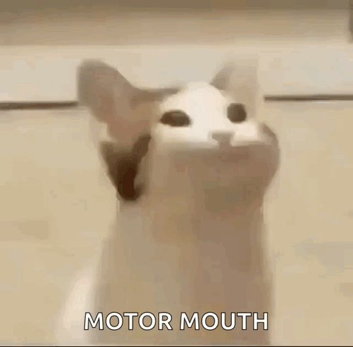 A Cat With Its Mouth Open And The Words `` Motor Mouth '' Written On Its Face . GIF