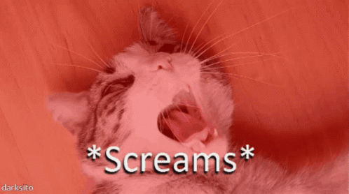 A Cat With Its Mouth Open And The Words * Screams * Written Above It GIF