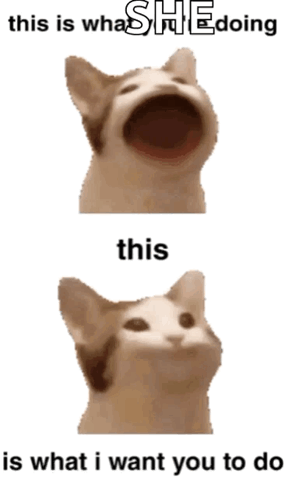 A Cat With Its Mouth Open And The Words " This Is What I Want You To Do " GIF