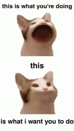 A Cat With Its Mouth Open And The Words " This Is What You 'Re Doing This Is What I Want You To Do " Below It GIF