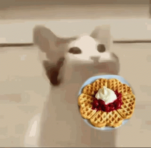a cat with its mouth open is eating a waffle with whipped cream on top .
