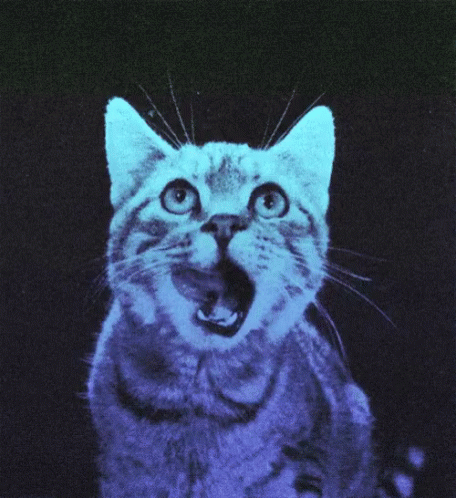 A Cat With Its Mouth Open Is Glowing Blue GIF