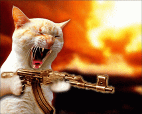 A Cat With Its Mouth Open Is Holding A Gun In Front Of A Fire GIF