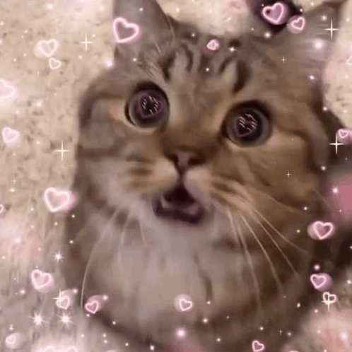A Cat With Its Mouth Open Is Surrounded By Pink Hearts . GIF