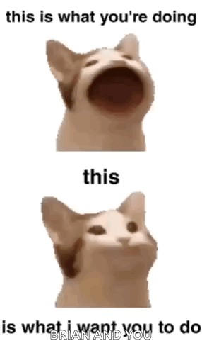 A Cat With Its Mouth Open Says This Is What You 'Re Doing And This Is What I Want You To Do Brian And You GIF