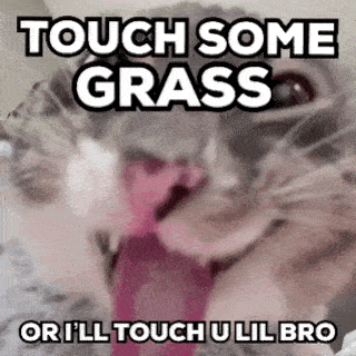 A Cat With Its Tongue Out And The Words `` Touch Some Grass Or I 'Ll Touch U Lil Bro '' GIF