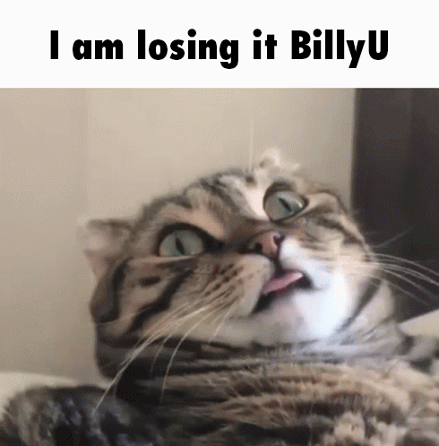 a cat with its tongue sticking out and the words i am losing it billy u above it