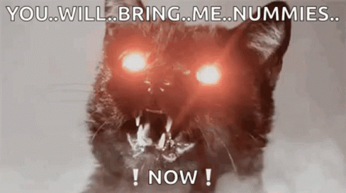 A Cat With Red Eyes And Sharp Teeth Is Screaming And Says `` You Will Bring Me Nummies Now '' . GIF