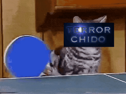 A Cat With Terror Chido Written On It 'S Face GIF