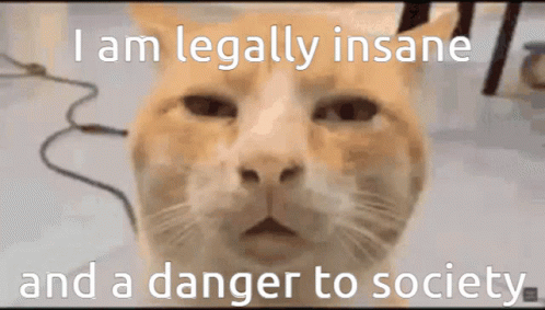 A Cat With The Words " I Am Legally Insane And A Danger To Society " GIF