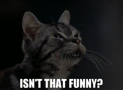 A Cat With The Words Isn 'T That Funny Written Below It GIF