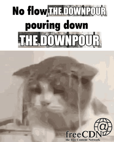 A Cat With The Words No Flow The Downpour Pouring Down The Downpour On It GIF