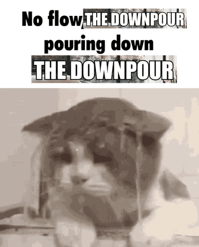 A Cat With The Words " No Flow The Downpour Pouring Down The Downpour " On It GIF