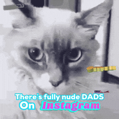 Cat With Text About Fully Nude Dads On Instagram GIF