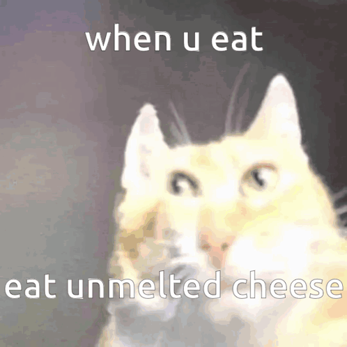 A Cat With The Words " When U Eat Eat Unmelted Cheese " On The Bottom GIF