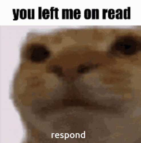 A Cat With The Words You Left Me On Read Respond GIF