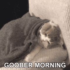 A Cat Wrapped In A Blanket On A Couch With The Words Goober Morning Above It . GIF