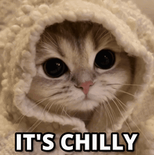 A Cat Wrapped In A Blanket With The Words " It 'S Chilly " Written Below It GIF