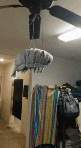 A Ceiling Fan Is Hanging From The Ceiling In A Room GIF