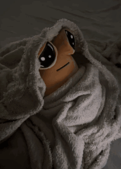 A Cell Phone Shows A Picture Of A Frog On The Screen GIF