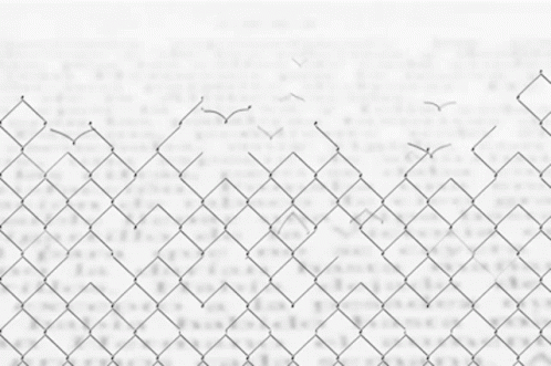A Chain Link Fence With Birds Flying In The Distance GIF