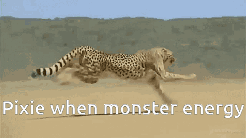 A Cheetah Is Running In The Desert With The Words Pixie When Monster Energy Below It GIF
