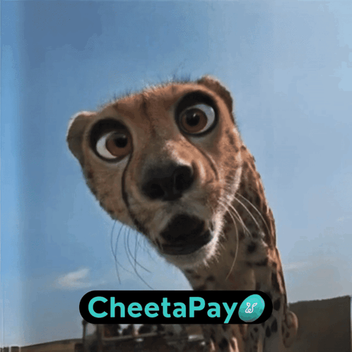 A Cheetah With A Cheetapay Logo In The Corner GIF