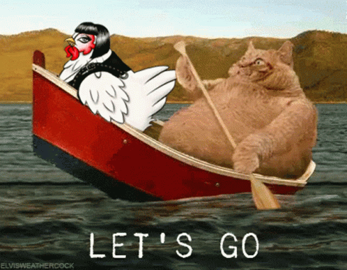 A Chicken And A Cat Are In A Boat With The Words Let 'S Go GIF