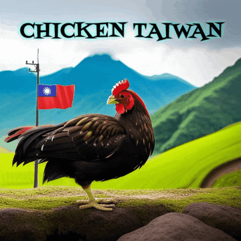 A Chicken Standing On A Rock With The Words Chicken Taiwan Written Above It GIF