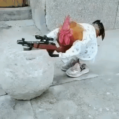A Chicken With A Gun On Its Back Is Sitting On A Rock . GIF