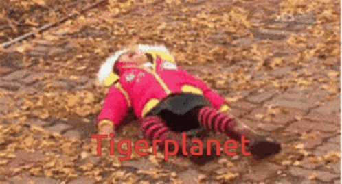 a child is laying on the ground with the words tigerplanet written in red
