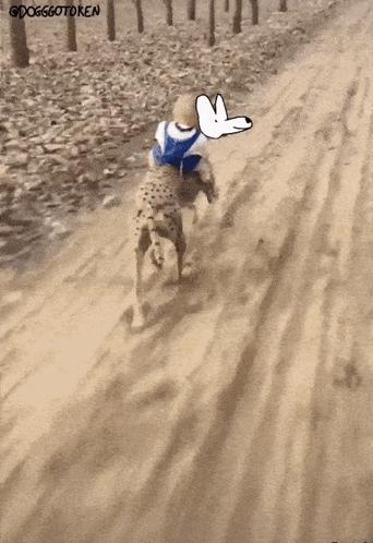 A Child Is Riding On The Back Of A Cheetah With A Drawing Of A Dog On The Back GIF