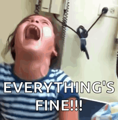 A Child Is Screaming With The Words " Everything 'S Fine !!! " GIF
