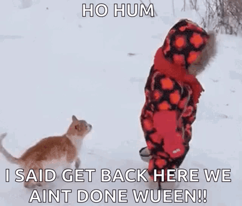 Child Standing In Snow Watching Cat GIF