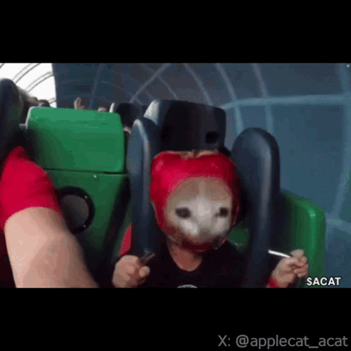 A Child Wearing A Red Helmet Is Riding A Roller Coaster .. GIF