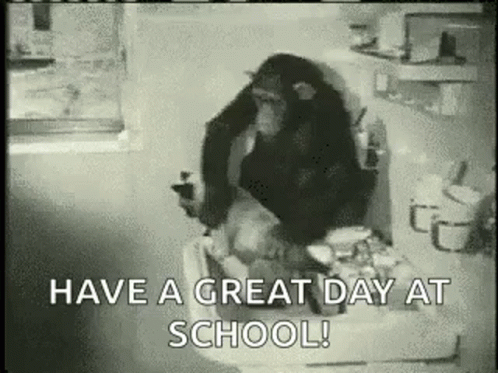 A Chimpanzee Is Sitting On A Toilet And Holding A Cell Phone In A Bathroom . GIF