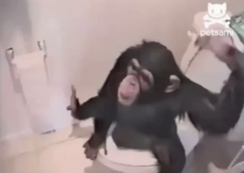 A Chimpanzee Is Sitting On A Toilet With A Skull And Crossbones In The Background GIF