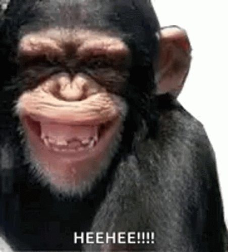 A Chimpanzee Is Smiling With Its Mouth Open And Says Heehee !!! . GIF