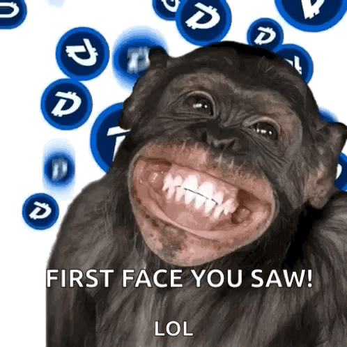 A Chimpanzee Is Smiling With The Words First Face You Saw Lol GIF