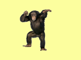 A Chimpanzee Sitting On A Yellow Background GIF