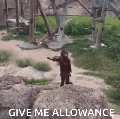 Chimpanzee Holding Money With Give Me Allowance GIF