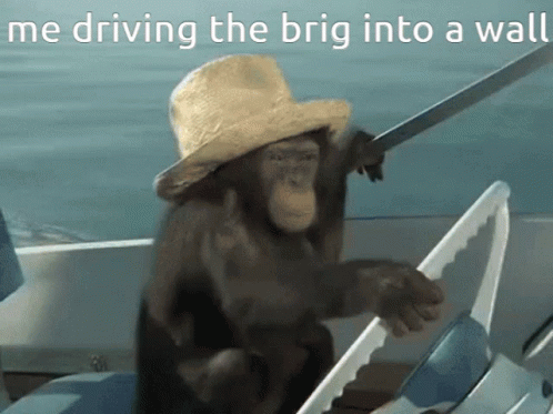 A Chimpanzee Wearing A Straw Hat Is Holding A Sword And Steering A Boat GIF