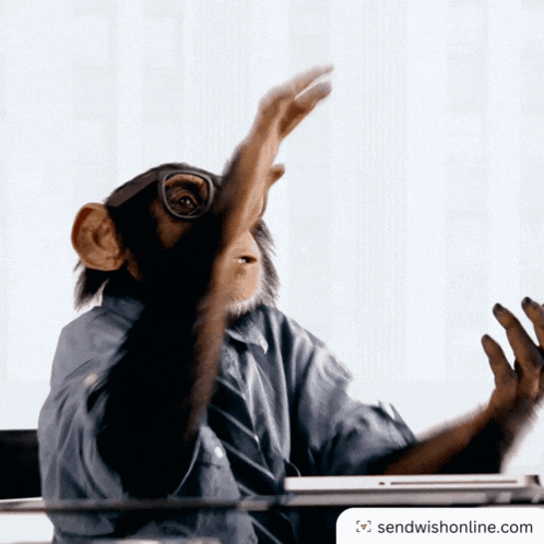 A Chimpanzee Wearing Glasses Is Sitting At A Desk With A Sendwishonline.com Logo In The Corner GIF