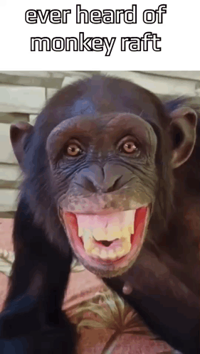 A Chimpanzee With Its Mouth Open And The Words Ever Heard Of Monkey Raft Written Above It GIF